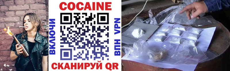 Купить закладки  Долгопрудный  Cocaine 99% 